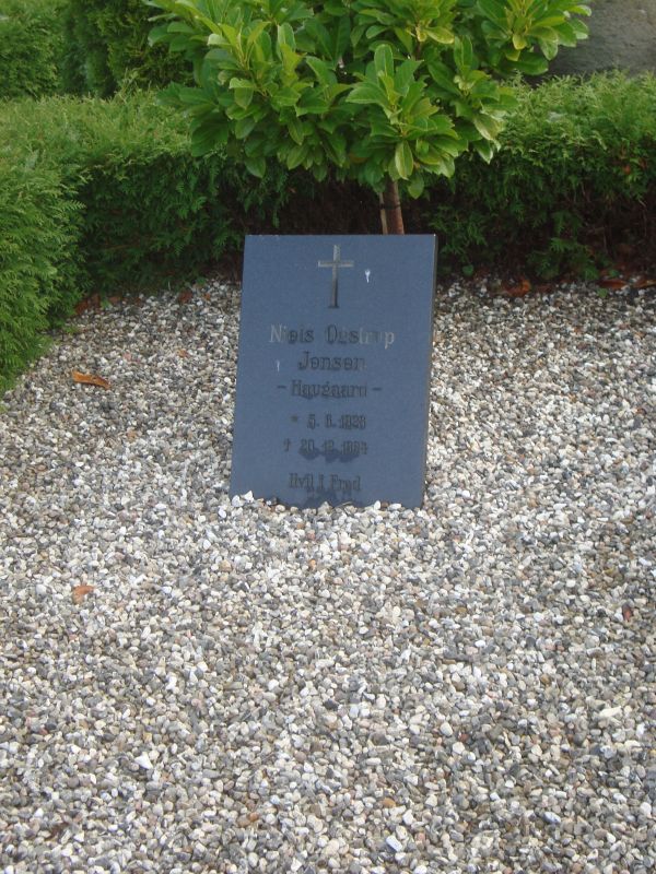 Niels Ogstrup Jensen.JPG